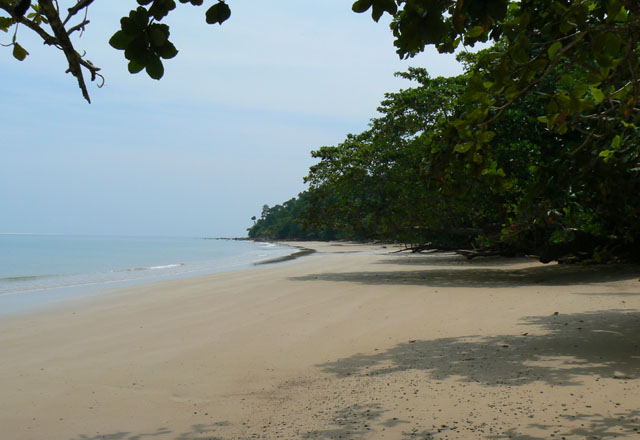 P1040990