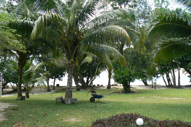P1050058