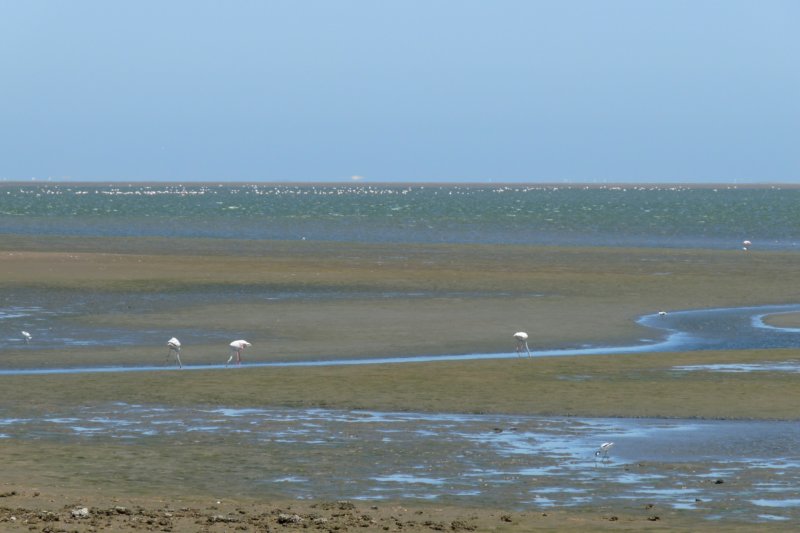 photo102.jpg