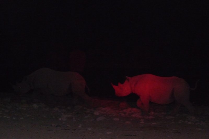 photo210.jpg