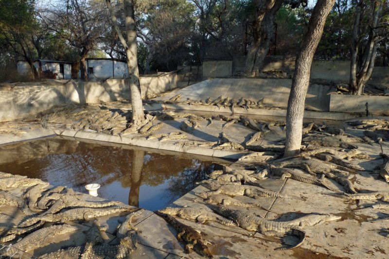 photo216.jpg