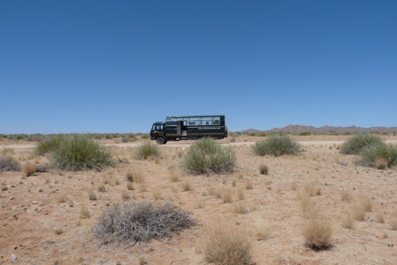 photo41.jpg