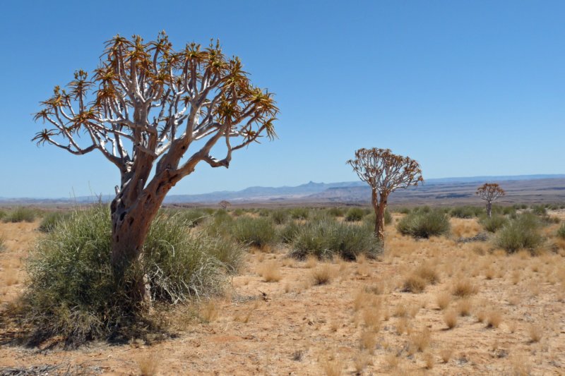 photo42.jpg
