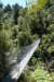 deswingbridgeoverdefallsriver_small.jpg