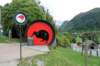 kiwiandbirdlifepark_small.jpg