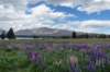 laketekapo2_small.jpg