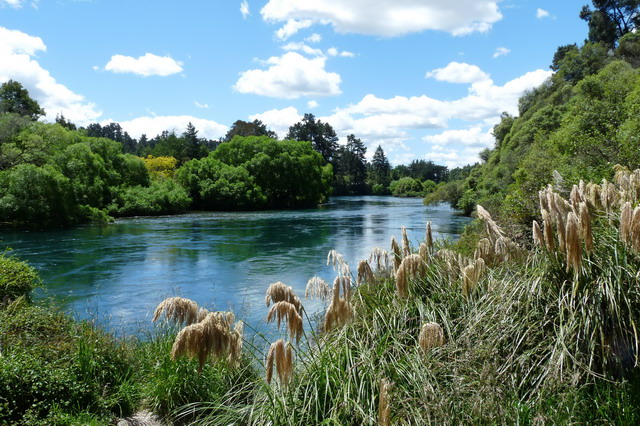 natuurbijwaikatorivier.jpg