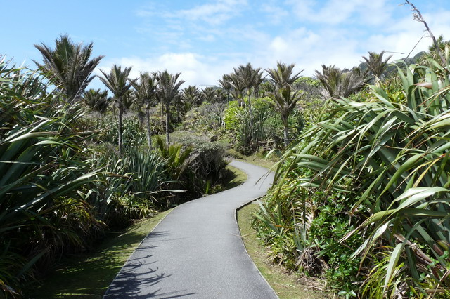 padbijpunakaiki.jpg