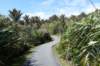 padbijpunakaiki_small.jpg