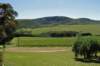 waihekeisland_small.jpg