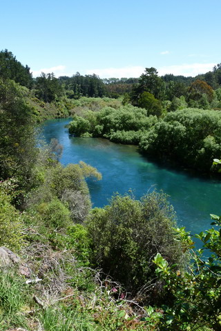 waikatorivier.jpg