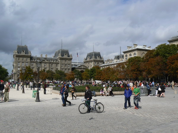 placeduparvis.jpg