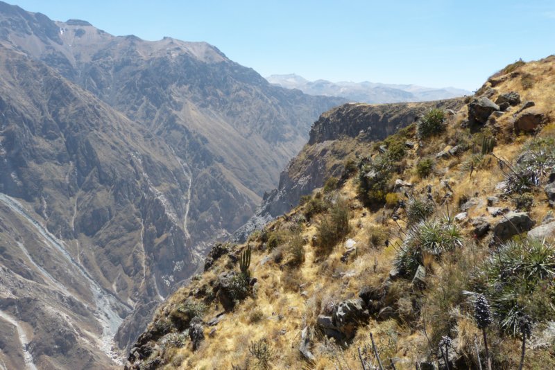 colcacanyoncruzdelcondor12.jpg