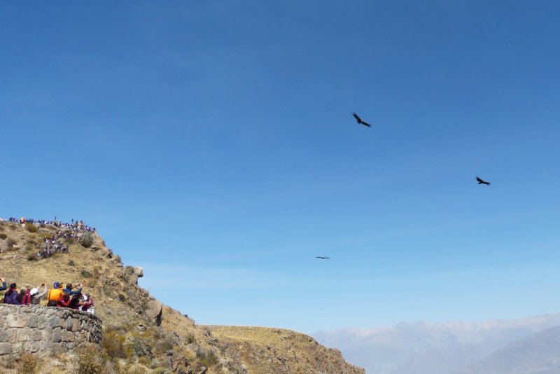 colcacanyoncruzdelcondor9.jpg