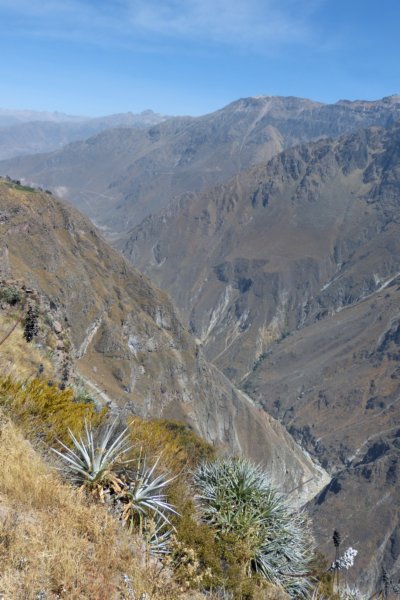 colcacanyonwandeling.jpg