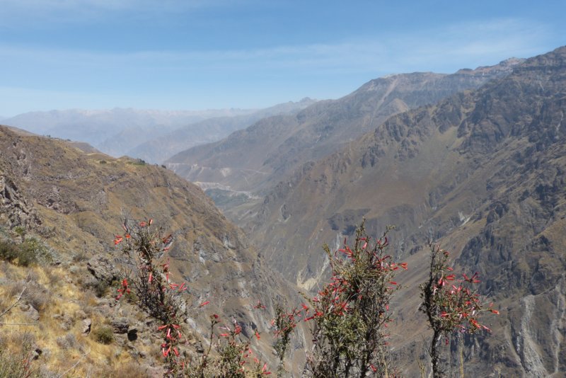 colcacanyonwandeling2.jpg