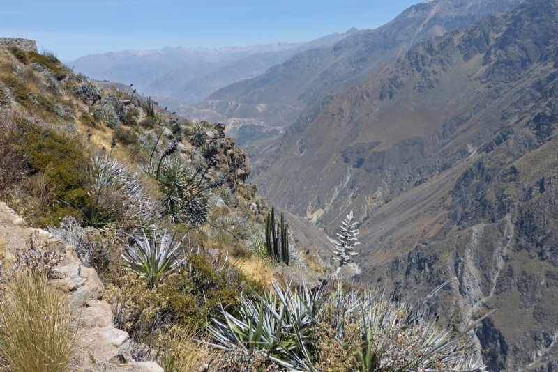 colcacanyonwandeling4.jpg