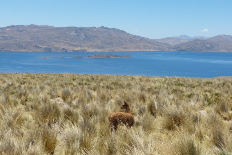 lagunalagunillas.jpg