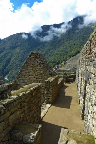 machupicchu17.jpg