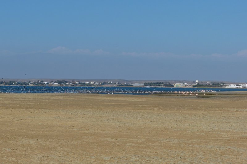 reservanacionaldeparacasflamingos2.jpg