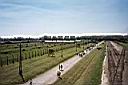 Birkenau