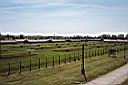 Birkenau