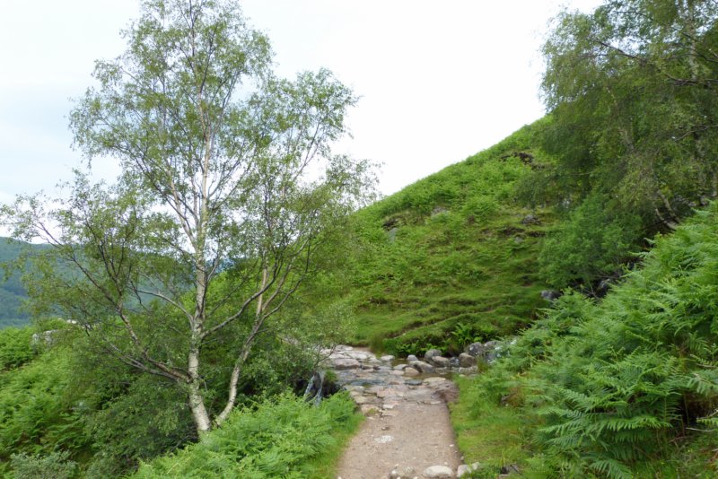 bennevis2.jpg
