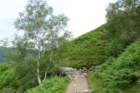 bennevis2_small.jpg