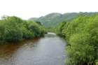 glennevis5_small.jpg