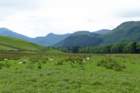 glennevis6_small.jpg