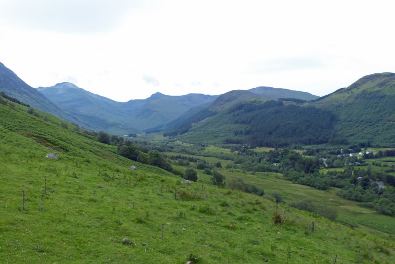 glennevis7.jpg