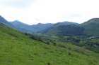 glennevis7_small.jpg
