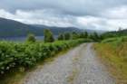 greatglenway2_small.jpg