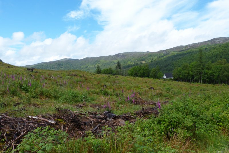 greatglenway4.jpg