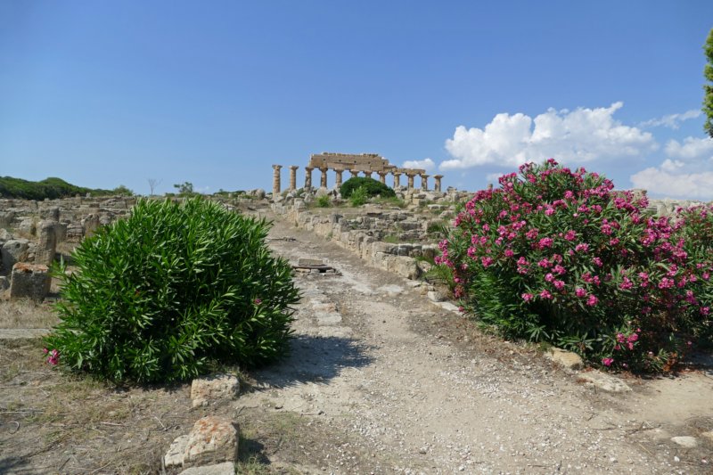 selinunte8.jpg