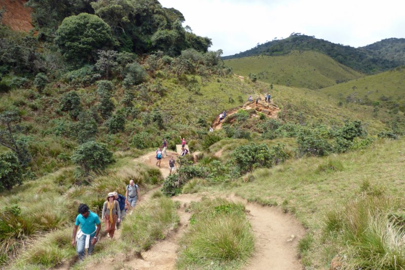hortonplains10.jpg