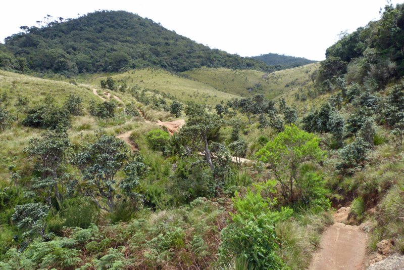 hortonplains9.jpg
