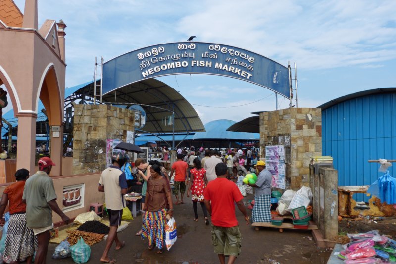 ingangvismarktnegombo.jpg