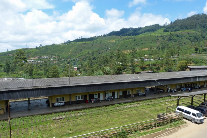 nuwaraeliya12.jpg
