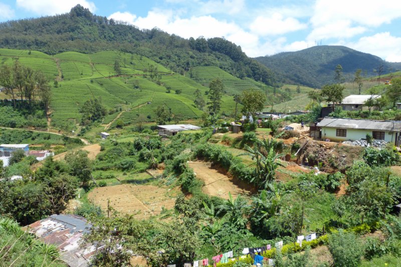 nuwaraeliya13.jpg