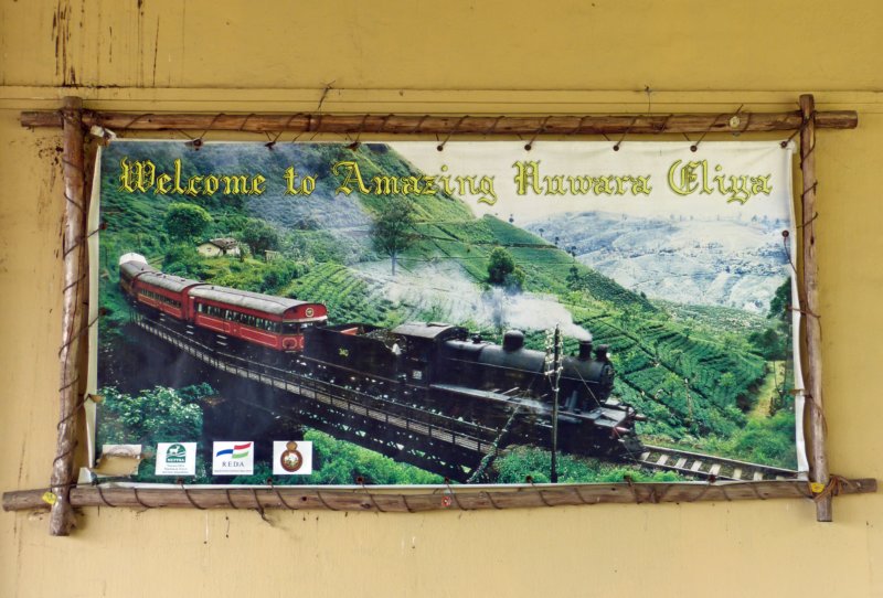 nuwaraeliya16.jpg