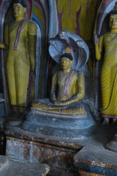 rotstempelsdambulla11.jpg