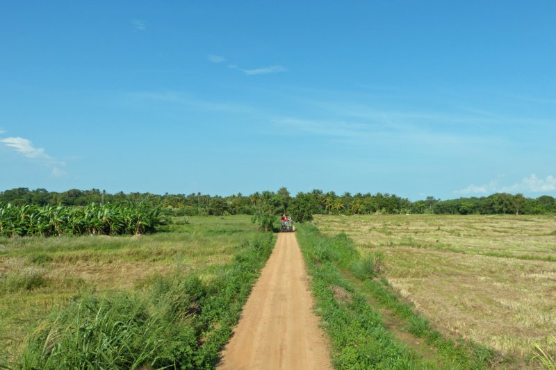 villagetour.jpg