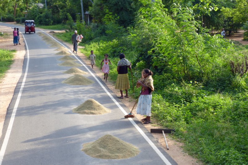 villagetour6.jpg