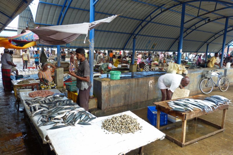 vismarktnegombo2.jpg