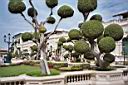 Grand Palace