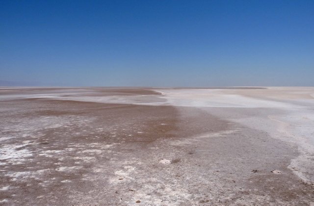 chotteldjerid.jpg