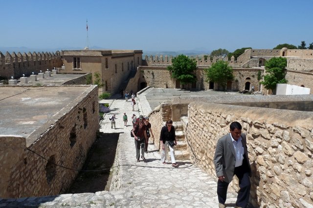 djoserinelkef.jpg