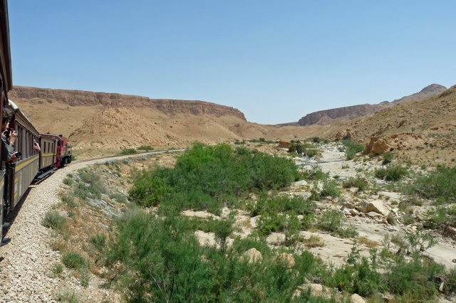 lezardrouge.jpg