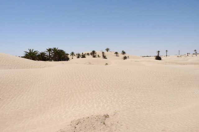 nogeensdesahara.jpg